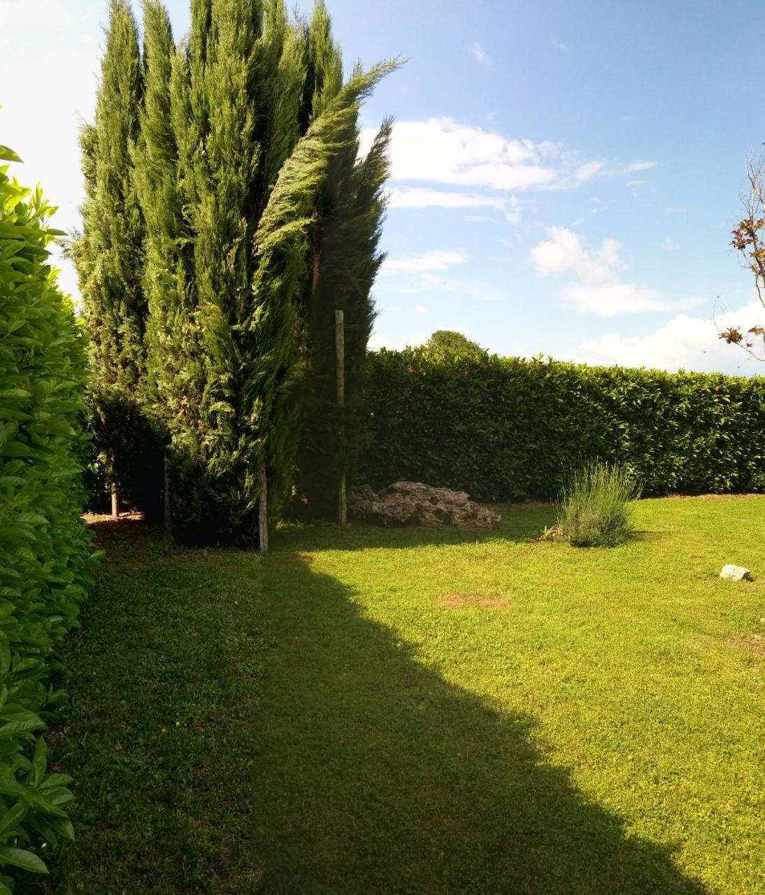 Appartement A Viterbo Terme "Casa Vacanze Al Melograno" Extérieur photo